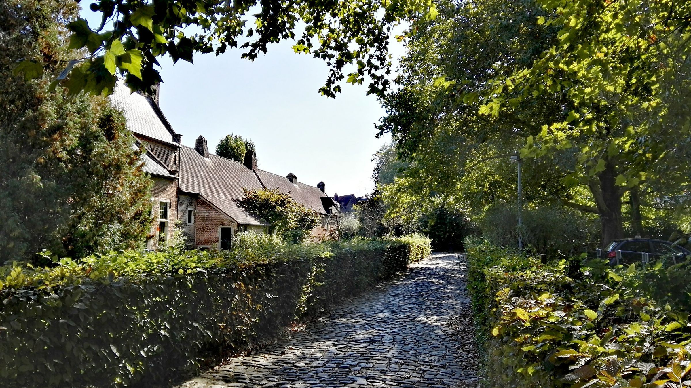 Gigolo huren in Vlaams-Brabant