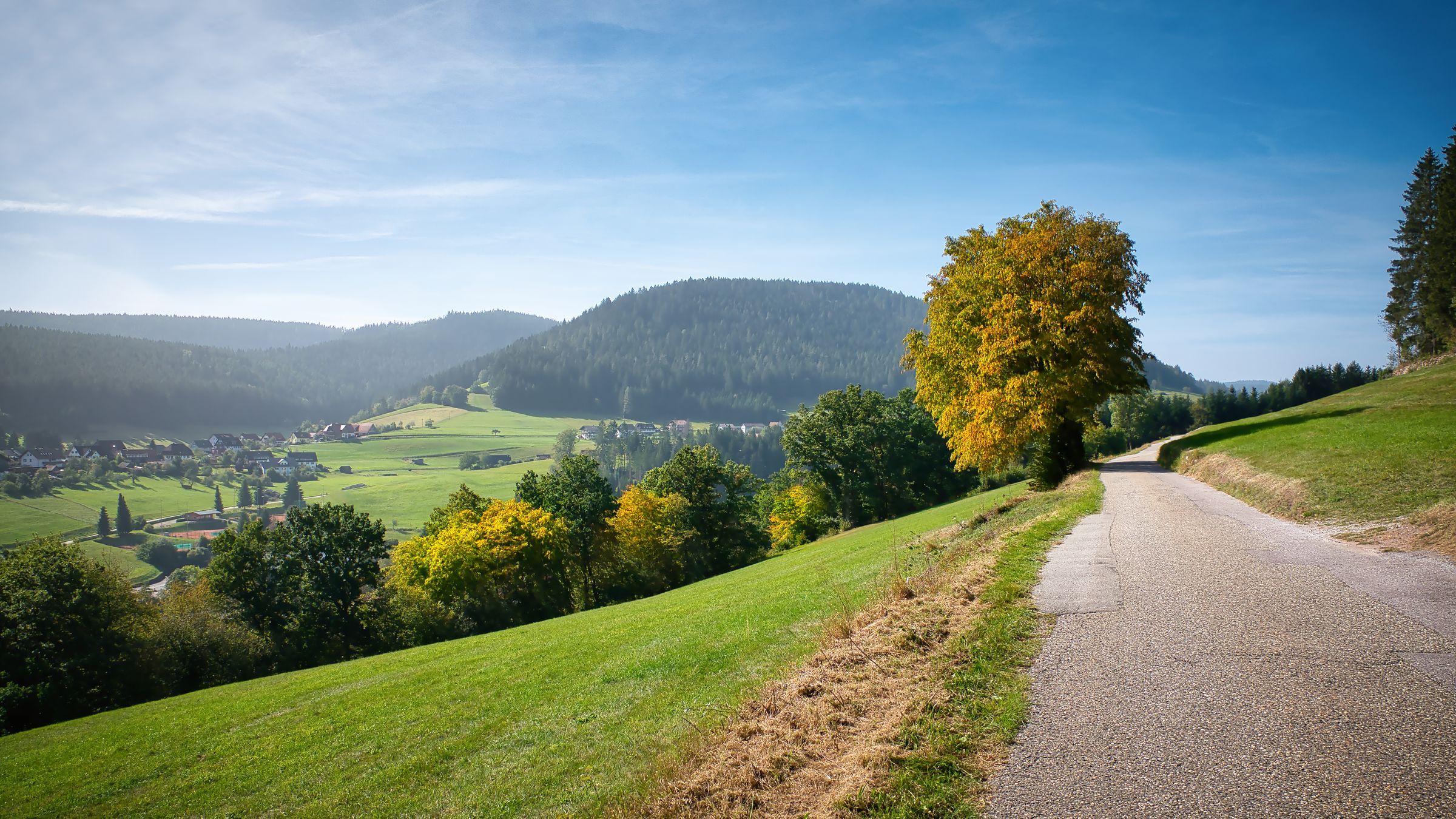 Hire a gigolo in Baden-Württemberg