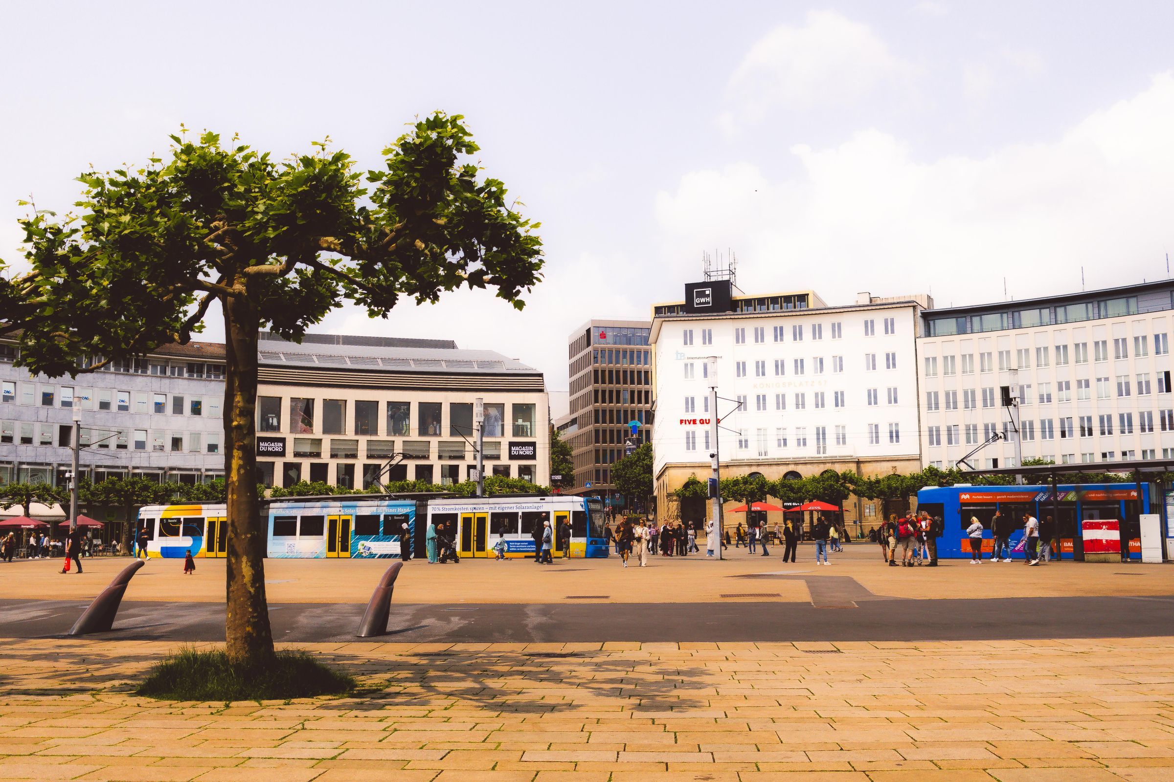 Hire a gigolo in Kassel