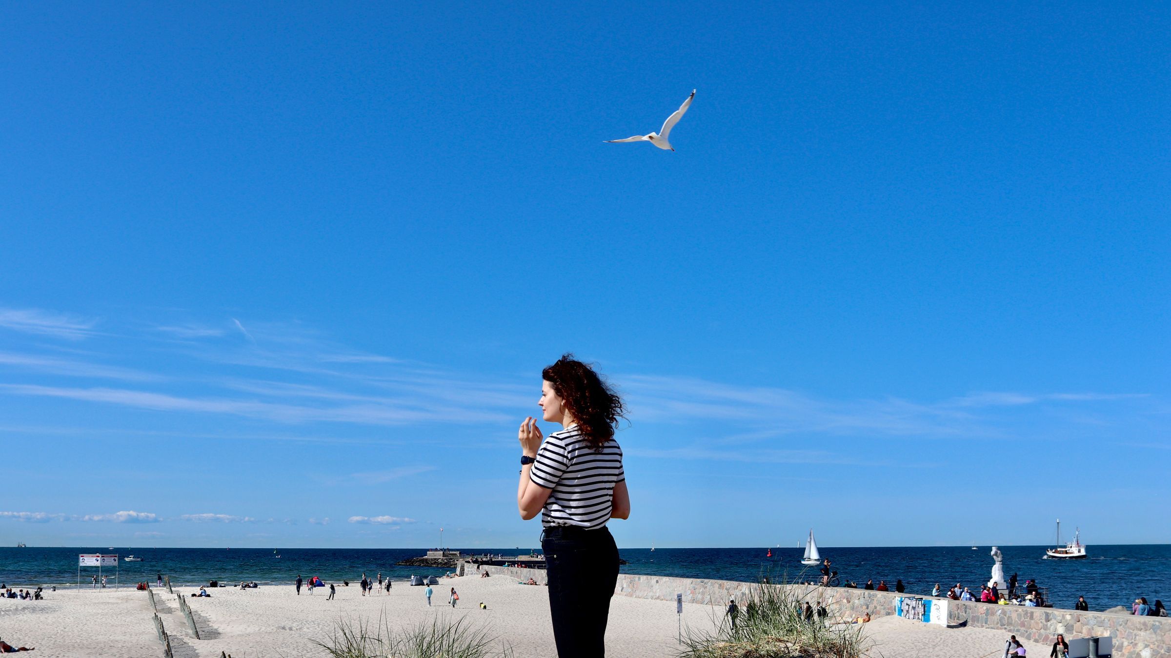 Hire a gigolo in Rostock