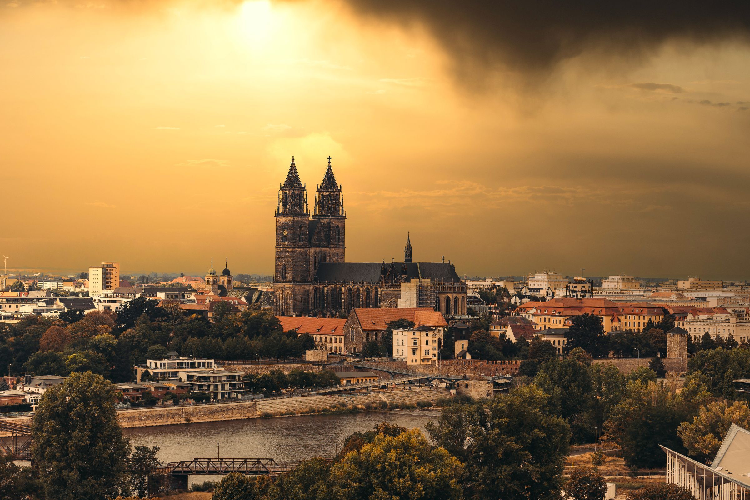 Hire a gigolo in Magdeburg