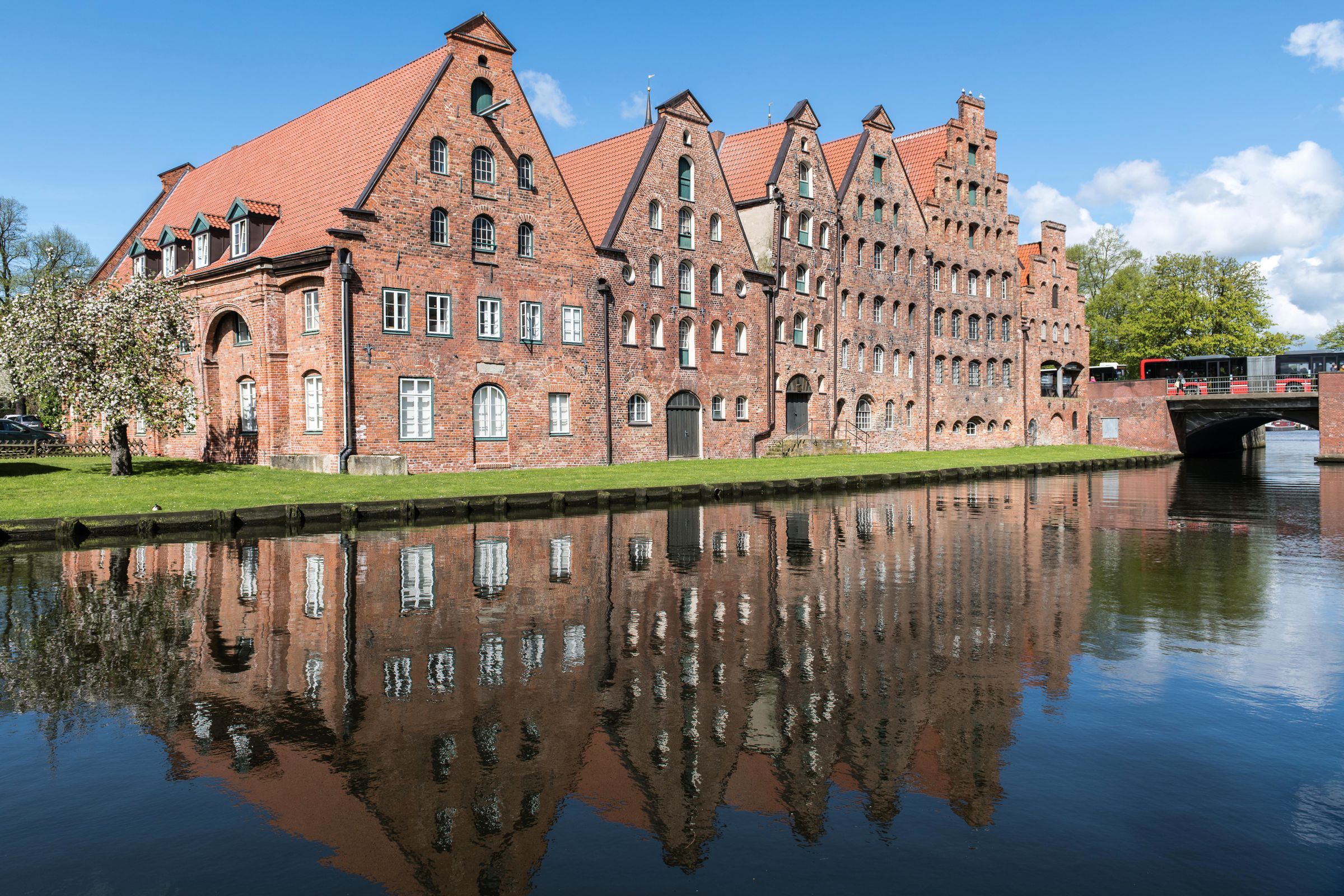 Hire a gigolo in Lübeck