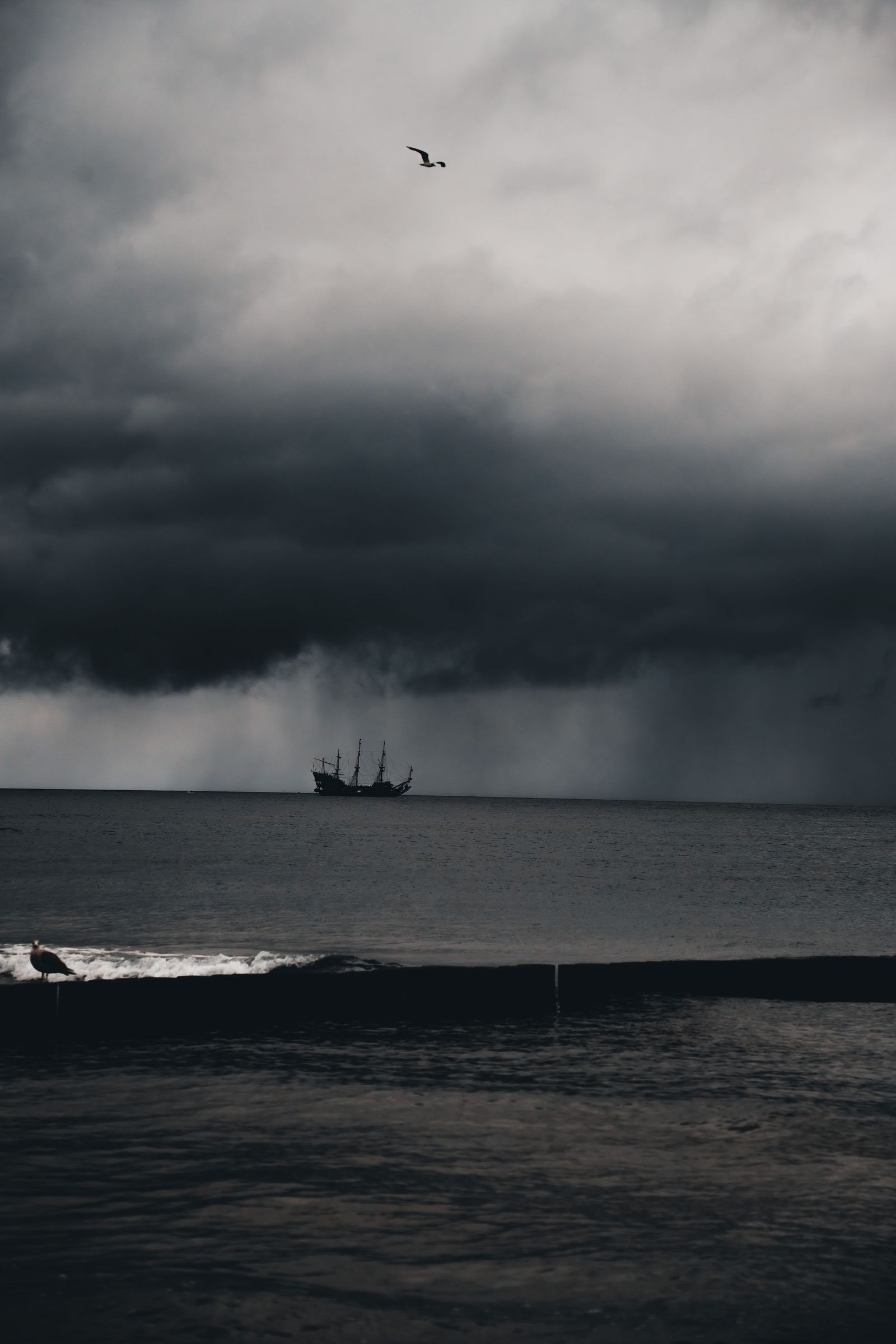 Un relato erótico sobre un pirata Un relato erótico sobre un pirata
