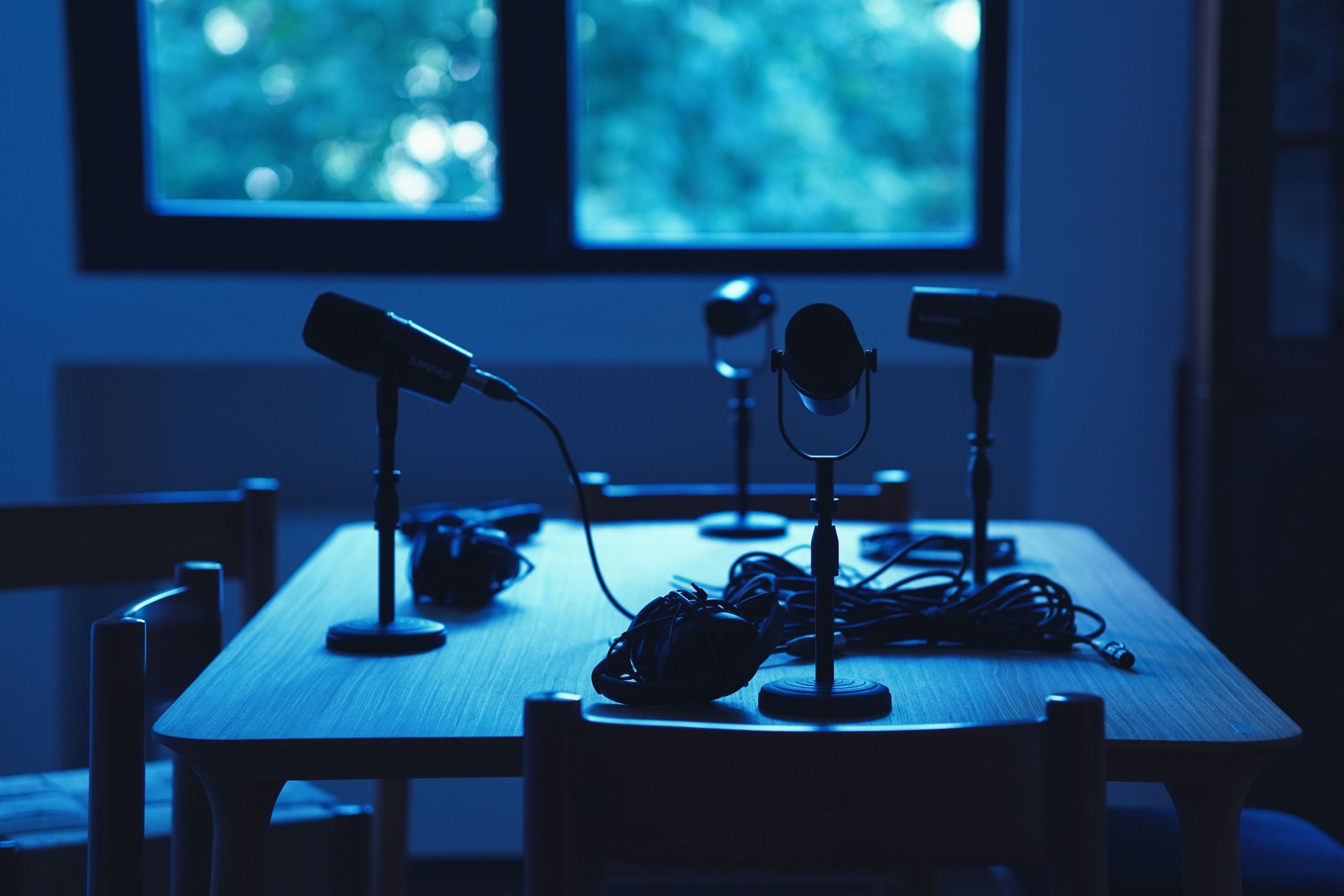 Gigolo Victor in een podcast