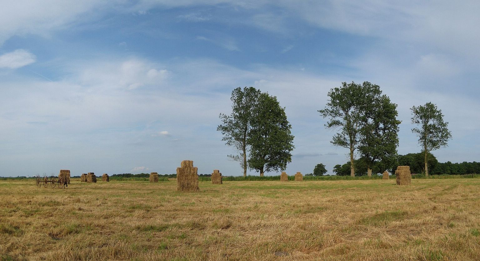 Contratar un gigolo en Drenthe