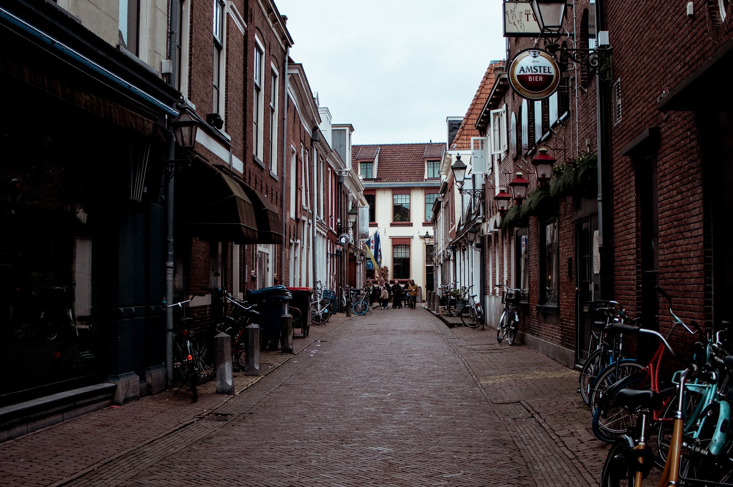 Hire a gigolo in Leeuwarden