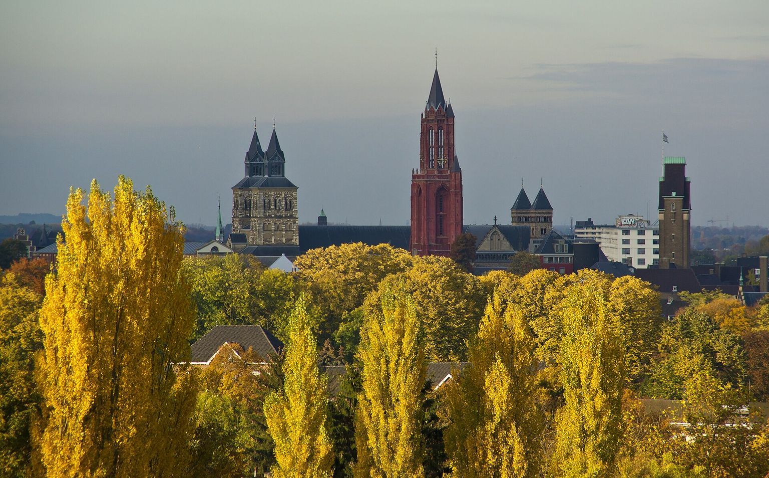 Contratar un gigolo en Maastricht Contratar un gigolo en Maastricht