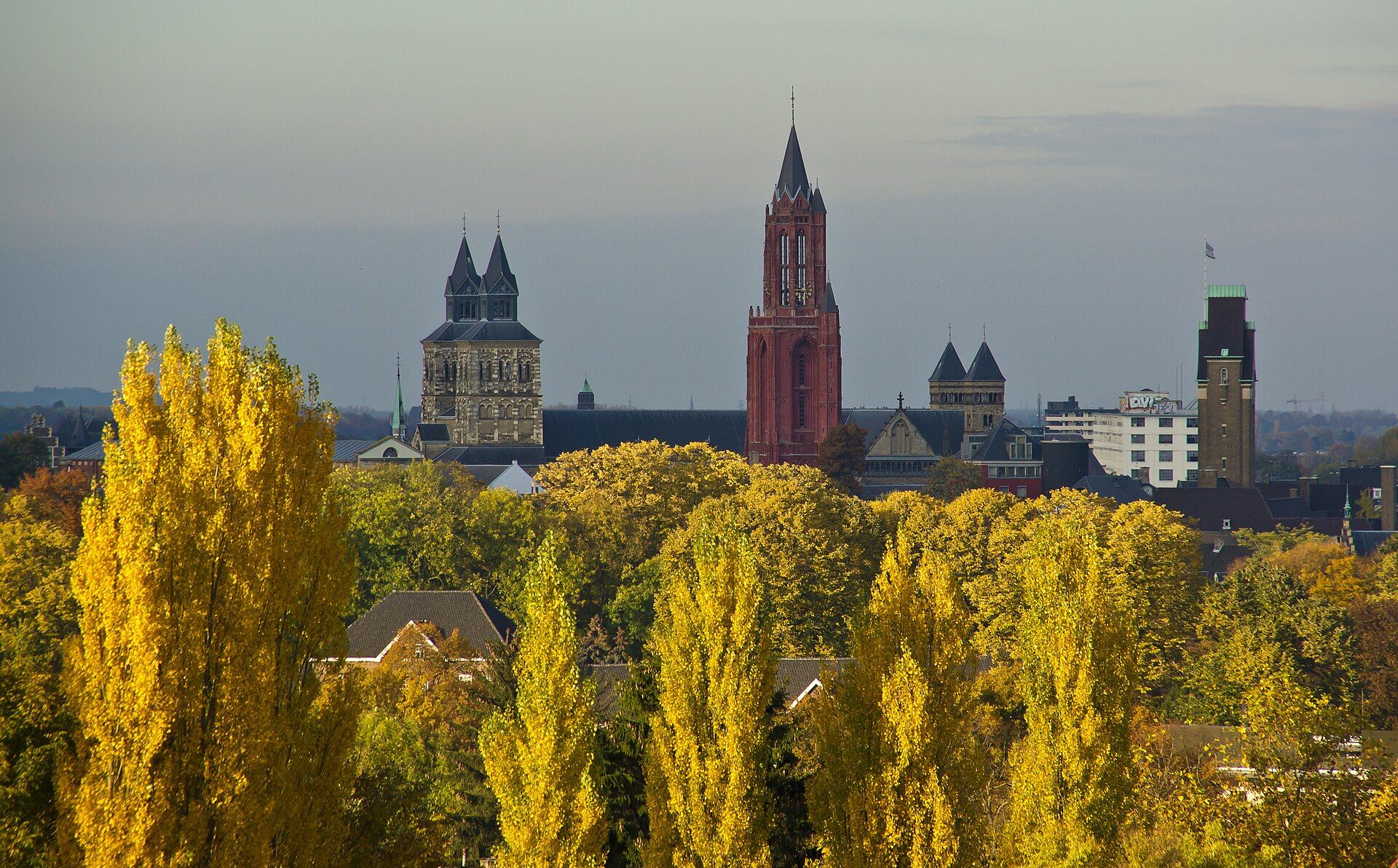 Hire a gigolo in Maastricht on the Maas