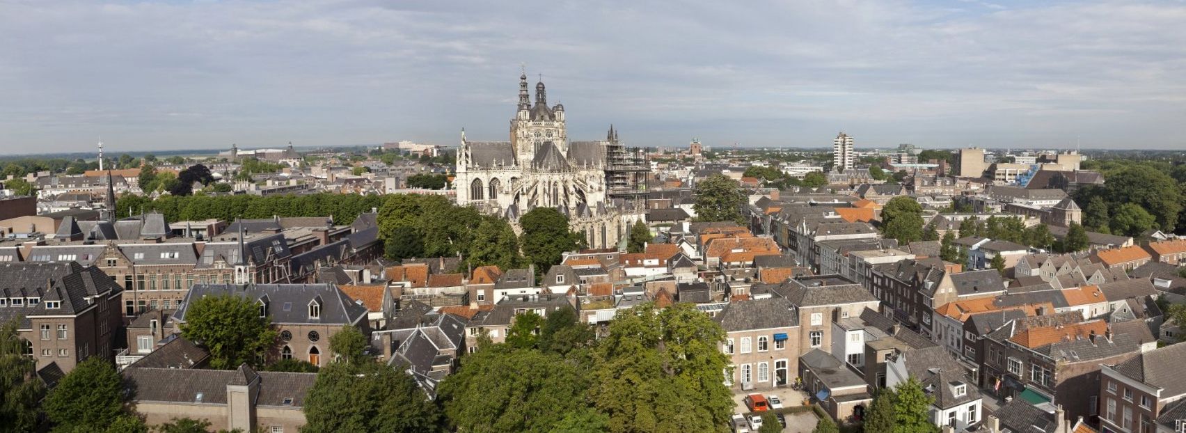 Hire a gigolo in Den Bosch, discreet in 's-Hertogenbosch