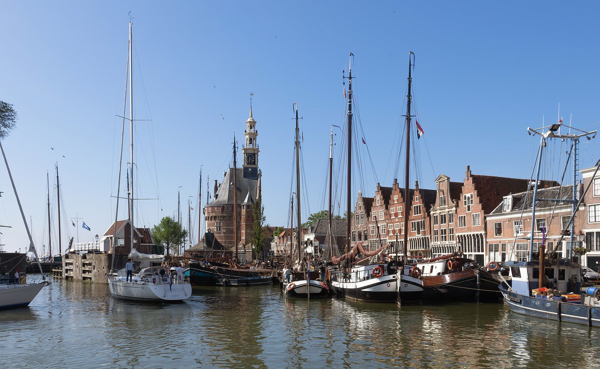 Hire a gigolo in Hoorn