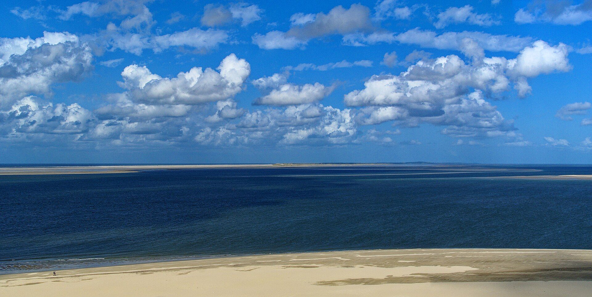 Gigolo huren op Texel