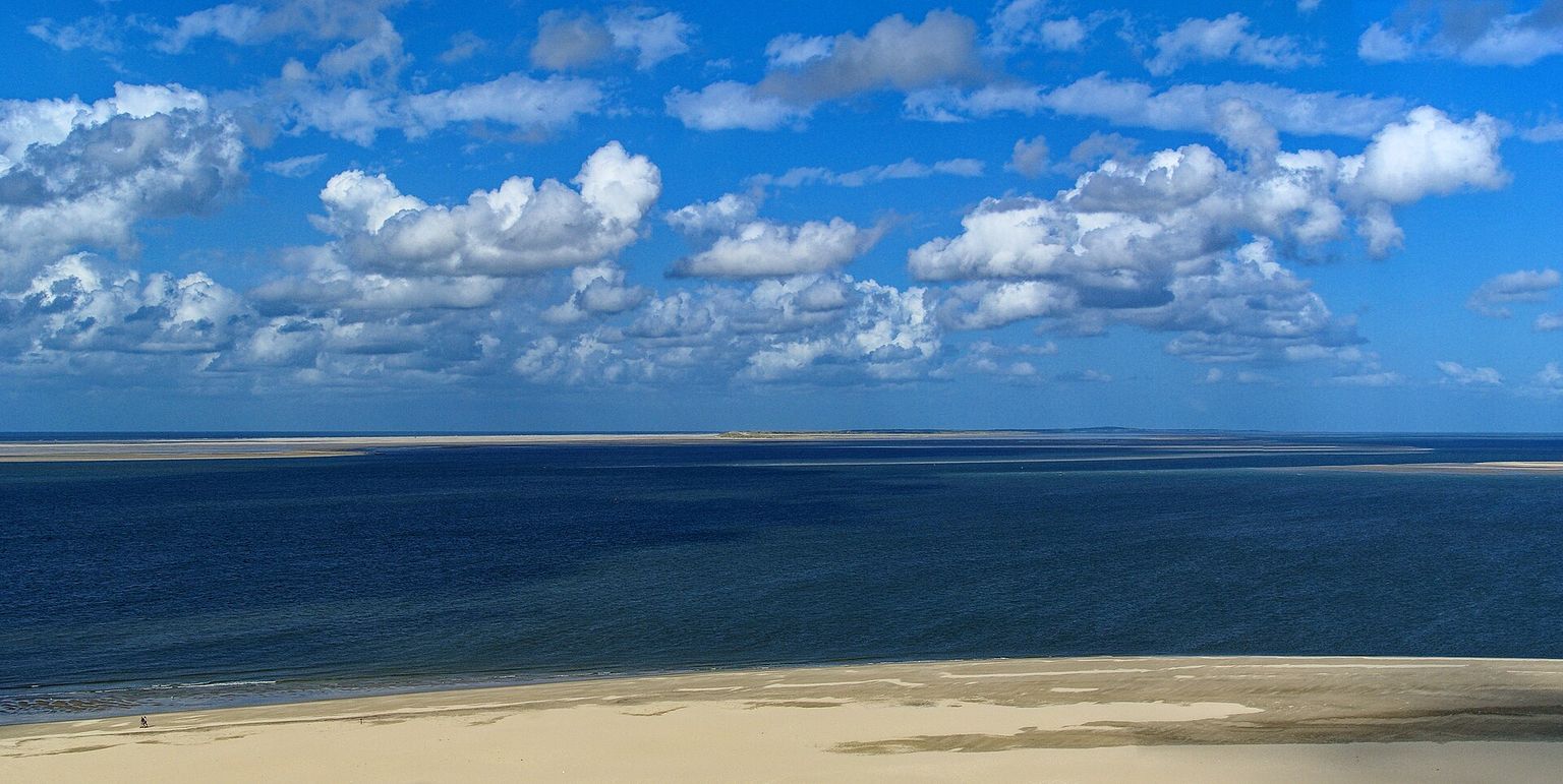 Contratar un gigolo en Texel