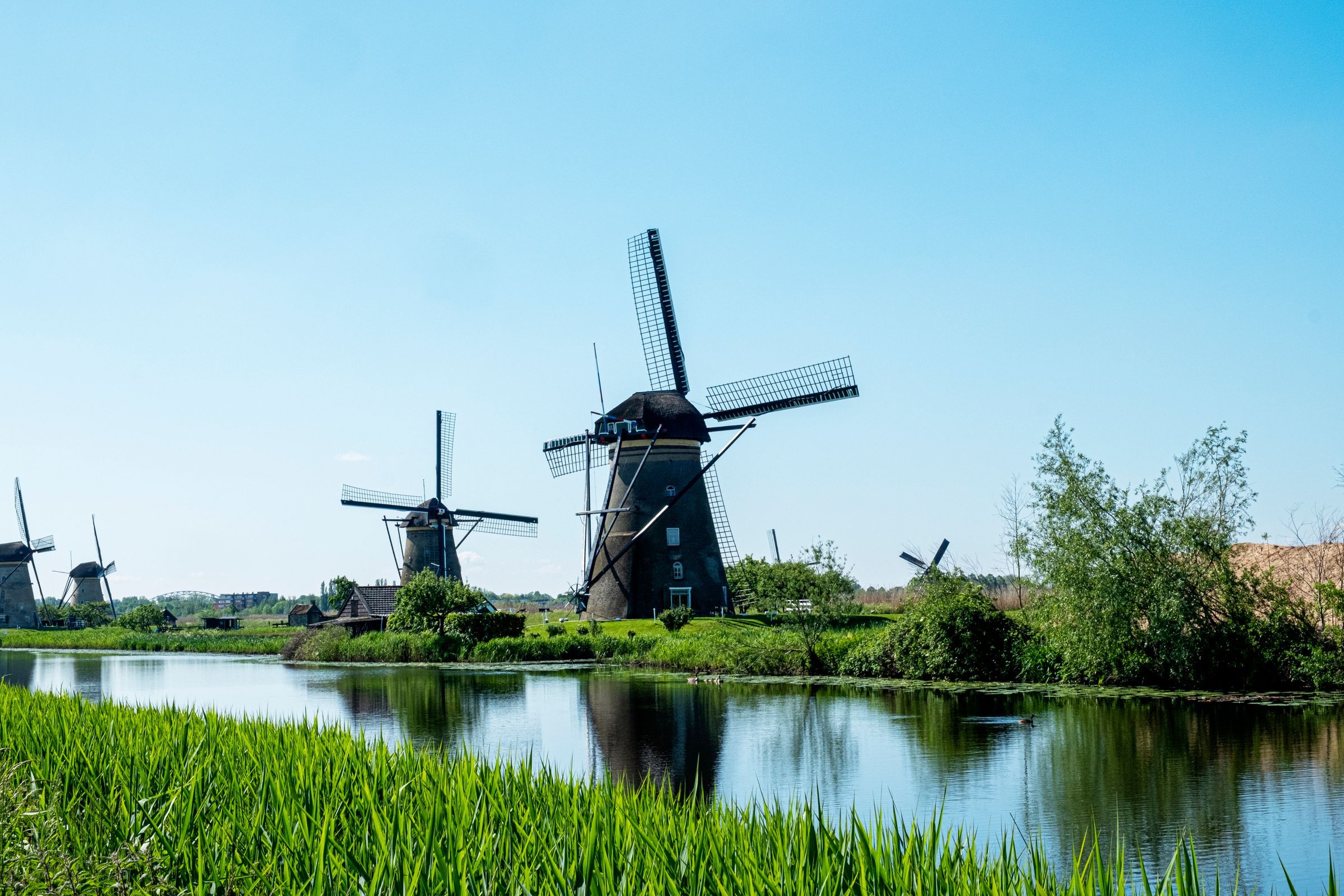 Gigolo huren in de Hoeksche Waard
