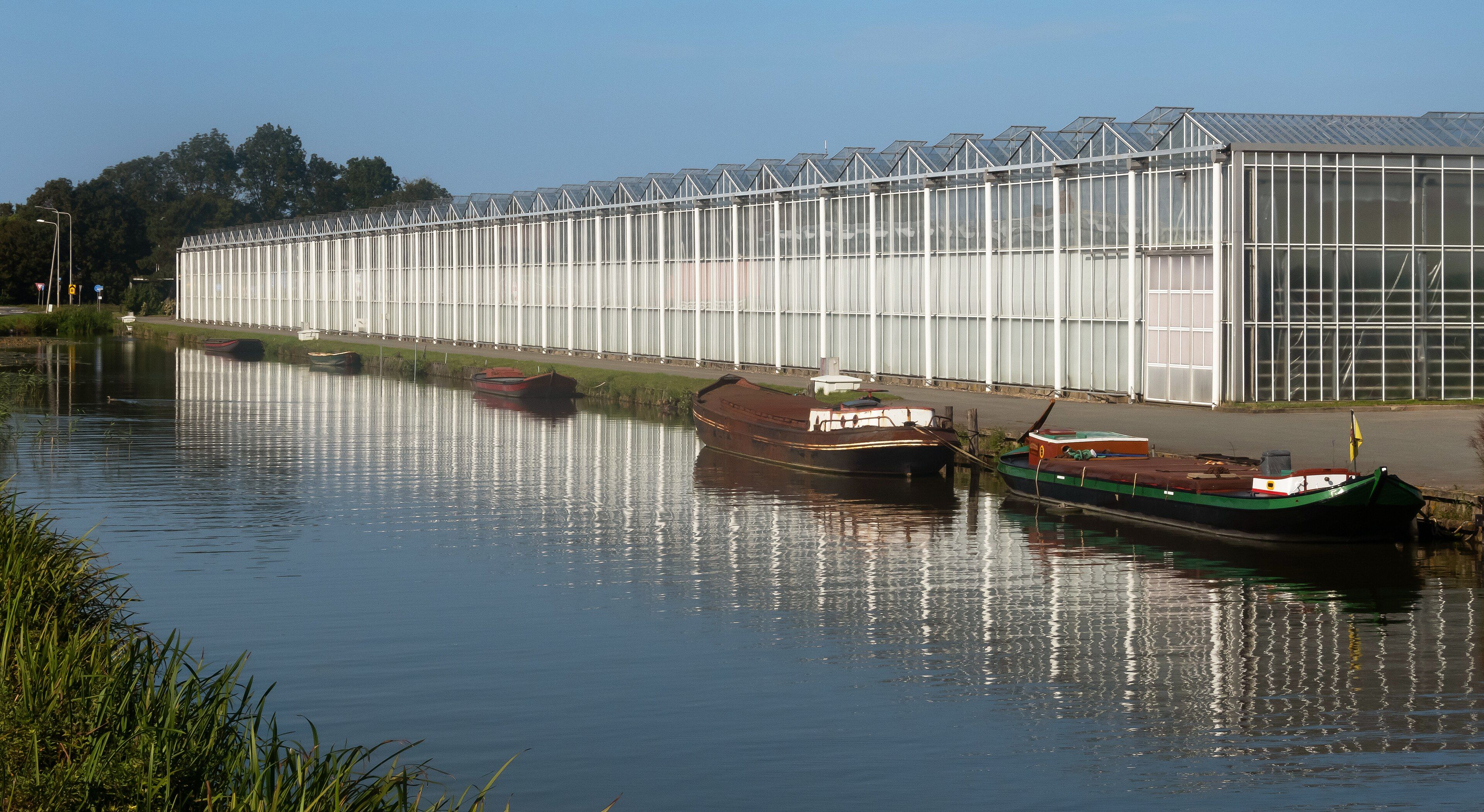 Gigolo huren in het Westland